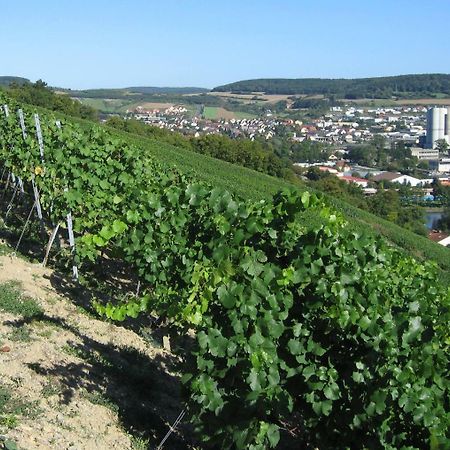 Weinstube Schwalbennest Hotel Karlstadt Luaran gambar